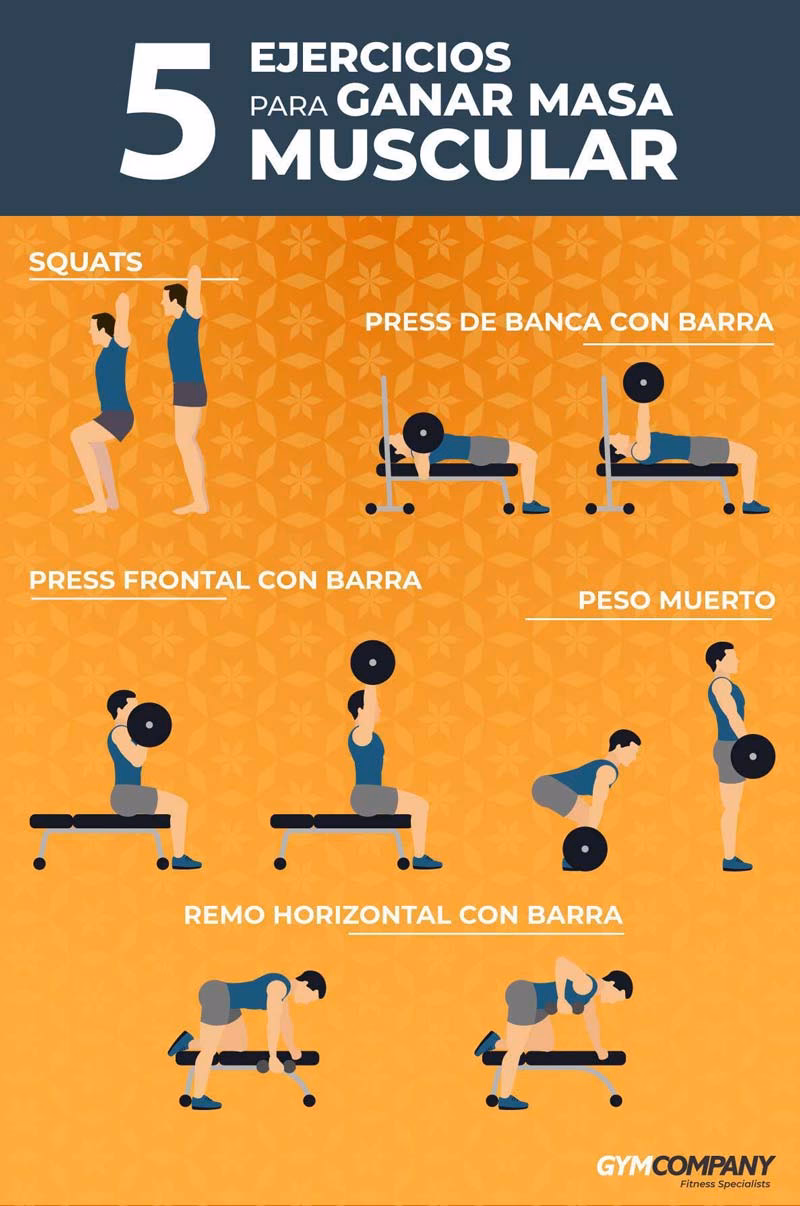 ¿Cuántas horas de ejercicio al día para aumentar masa muscular?