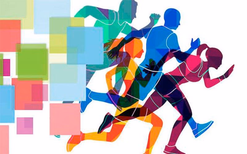 ¿Cuánto dura la carrera de Ciencias de la actividad física y el deporte?