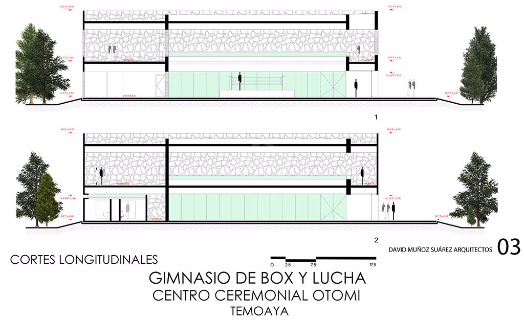 ¿Qué altura debe tener un gimnasio?