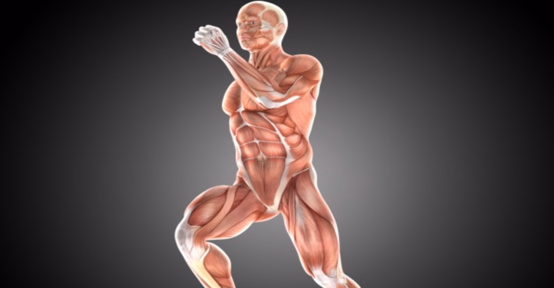 ¿Qué es la anatomía y fisiología deportiva?