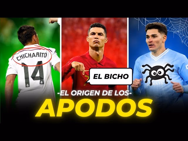 ¿Cómo se le puede llamar a un jugador?