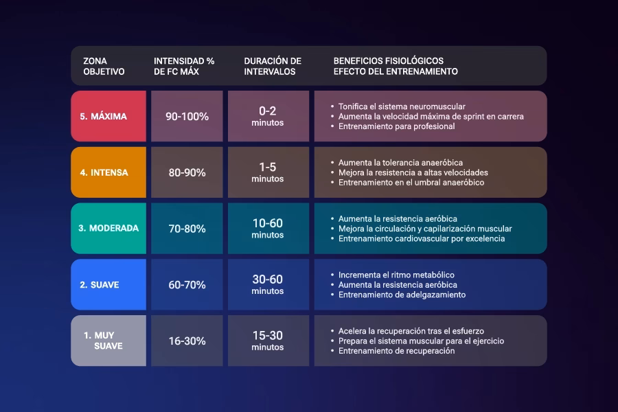 ¿Qué son las áreas funcionales del entrenamiento?