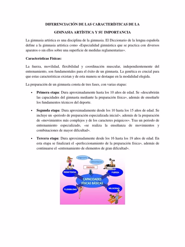 ¿Cuáles son los conceptos básicos de la gimnasia?