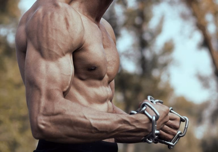 ¿Para qué sirve el antebrazo?