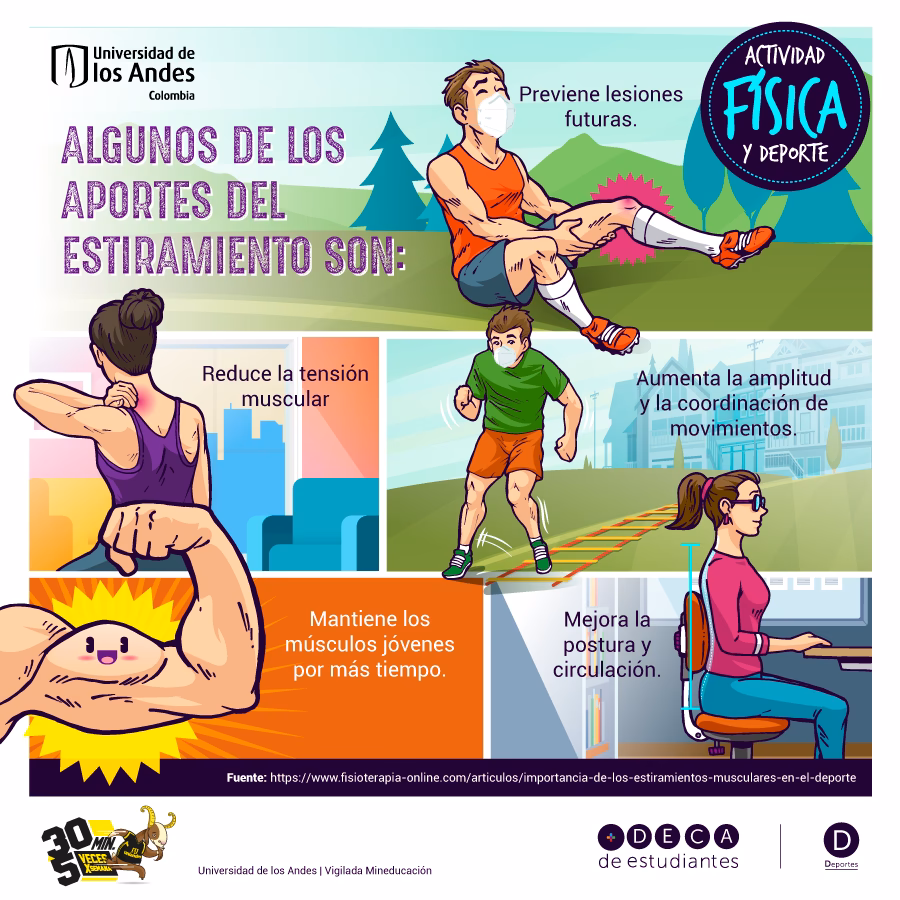 ¿Cuál es el beneficio de estirarse después de un entrenamiento?