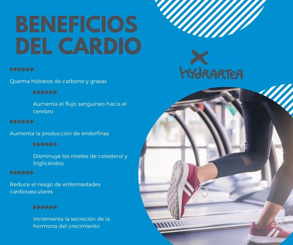 ¿Cuántos beneficios da un gimnasio?
