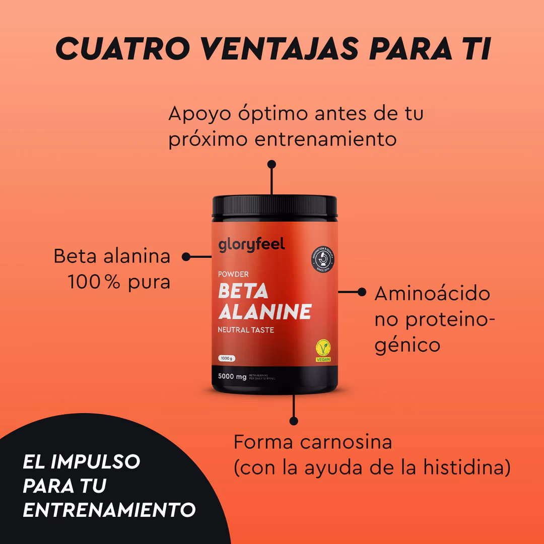 ¿Qué pasa si tomo beta alanina todos los días?