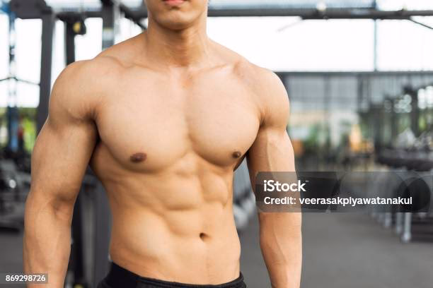 ¿Vale la pena Total Body Gym?