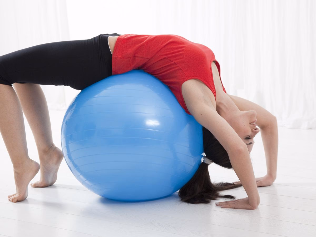 ¿Cuánto cuesta la bola de hamster?