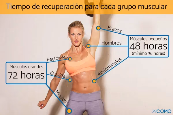 ¿Cuánto tiempo se recomienda entrenar los brazos?