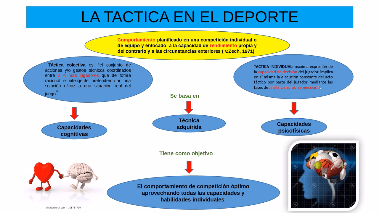 ¿Cuáles son los fundamentos tácticos del deporte?