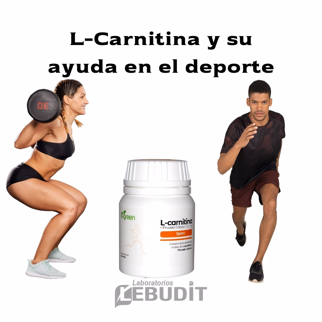 ¿Cuál es el uso de la carnitina en el deporte?