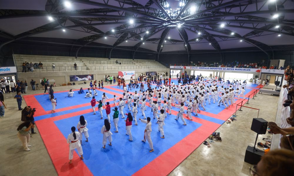 ¿Cómo se llama el lugar donde hacen artes marciales?