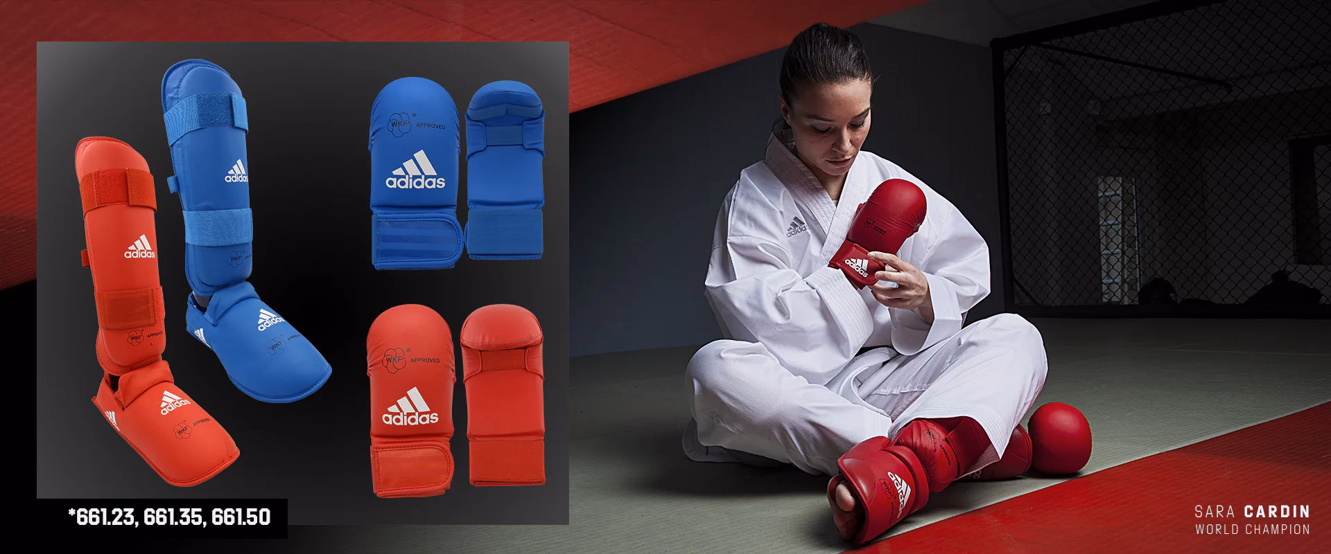 ¿Cuál es el mejor lugar para entrenar artes marciales?