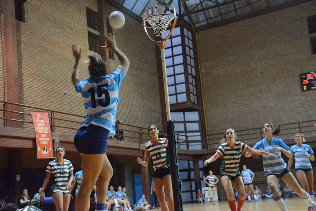 ¿Cómo se juega el cesto?