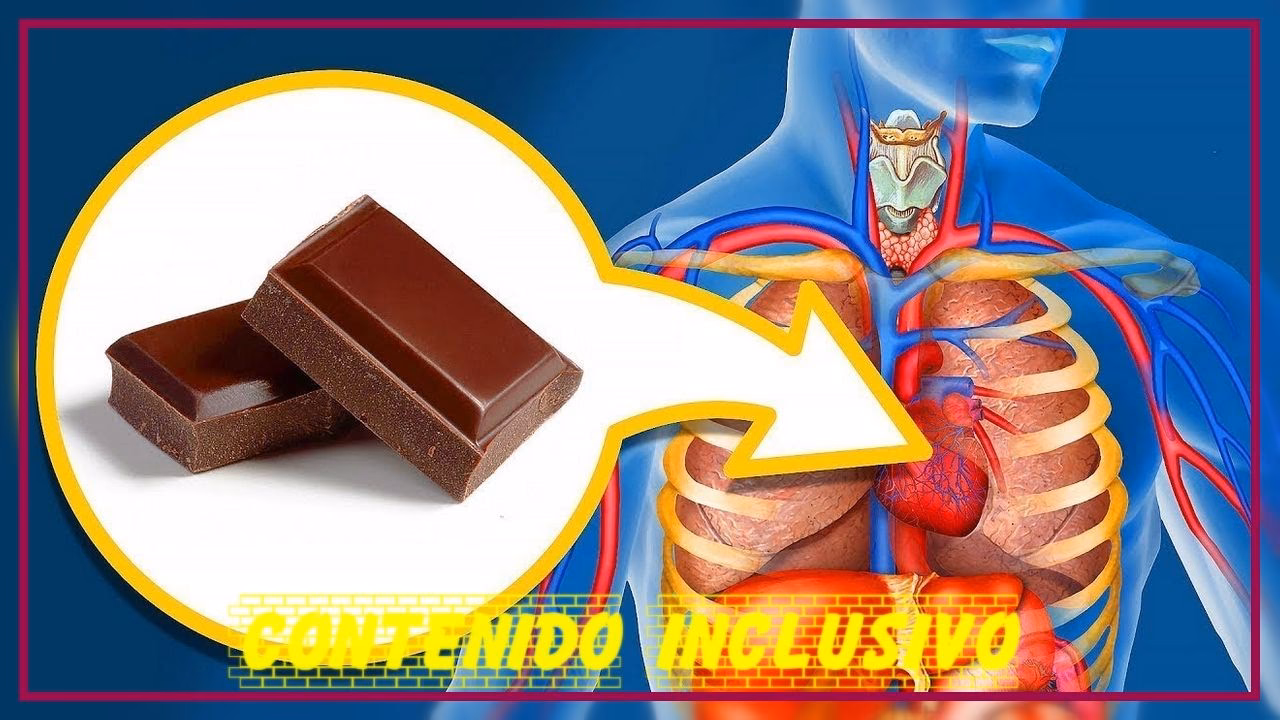 ¿El chocolate afecta a tus músculos?