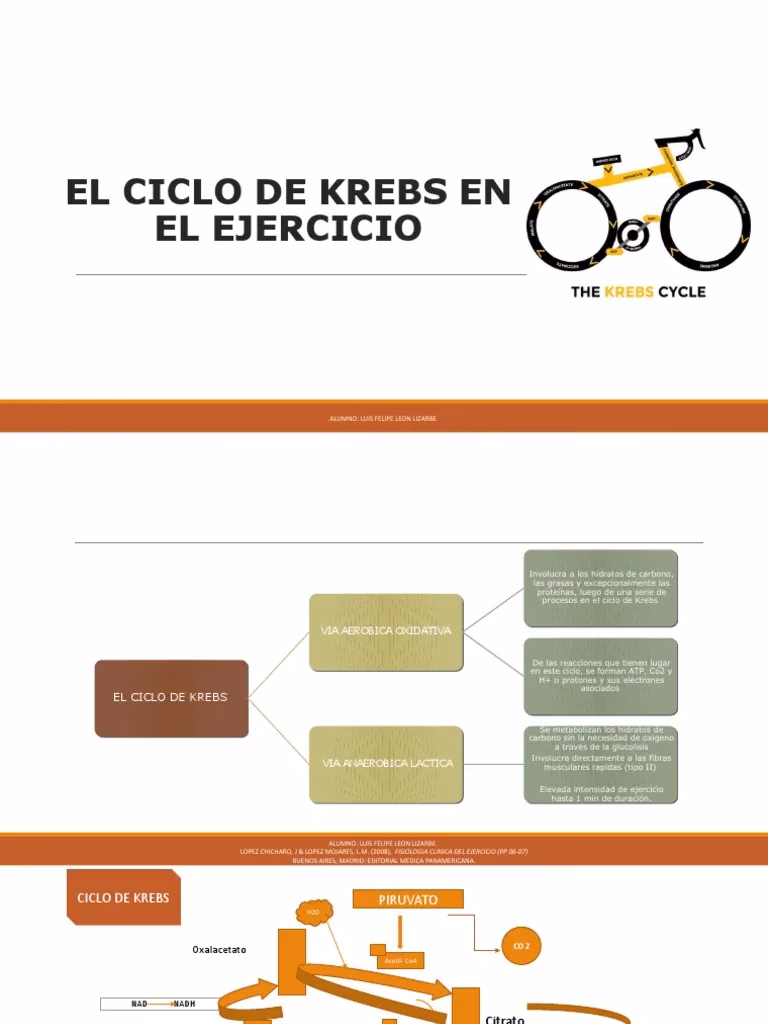 ¿El ciclo de Krebs es anaeróbico o aeróbico?