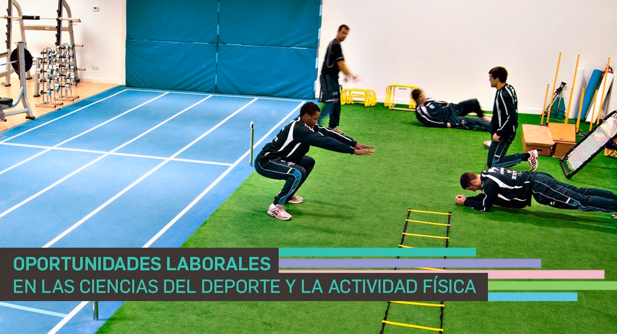 ¿Qué es la carrera de Ciencias de la actividad física y el deporte?