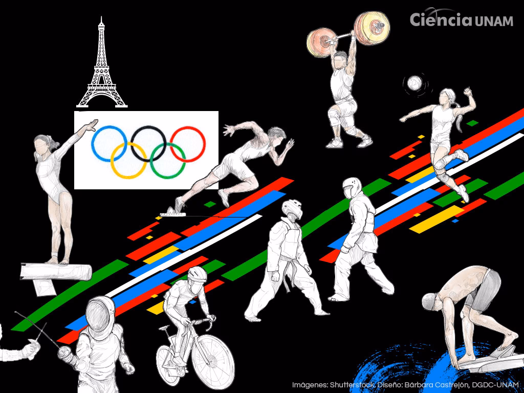 ¿Cuántos años dura la carrera de Ciencias del Deporte?