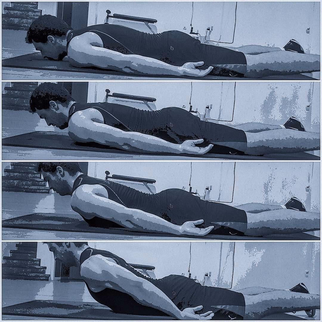 ¿Qué músculos ayudan a la cifosis?