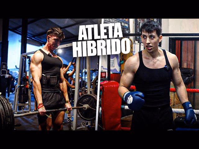 ¿Puedo ir al gimnasio y boxear?