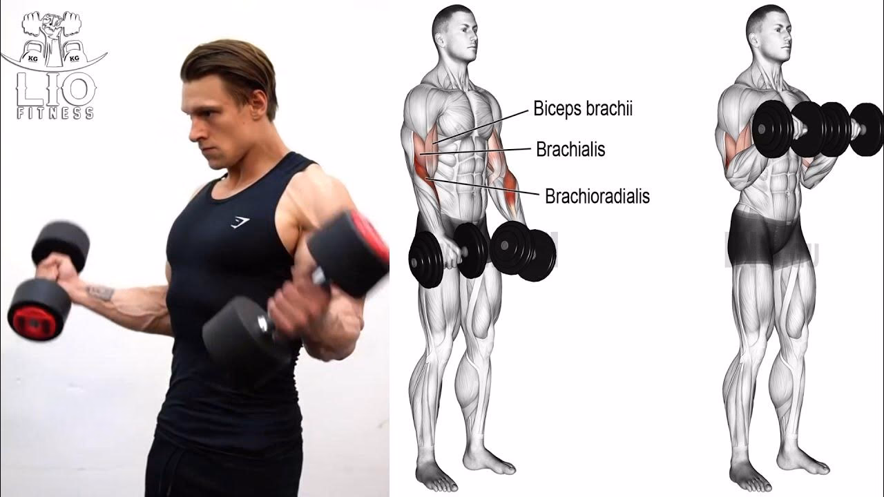 ¿Cuánto tiempo hay que hacer pesas para ver resultados?