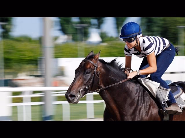 ¿Cómo saber si un caballo de carrera va a ser bueno?