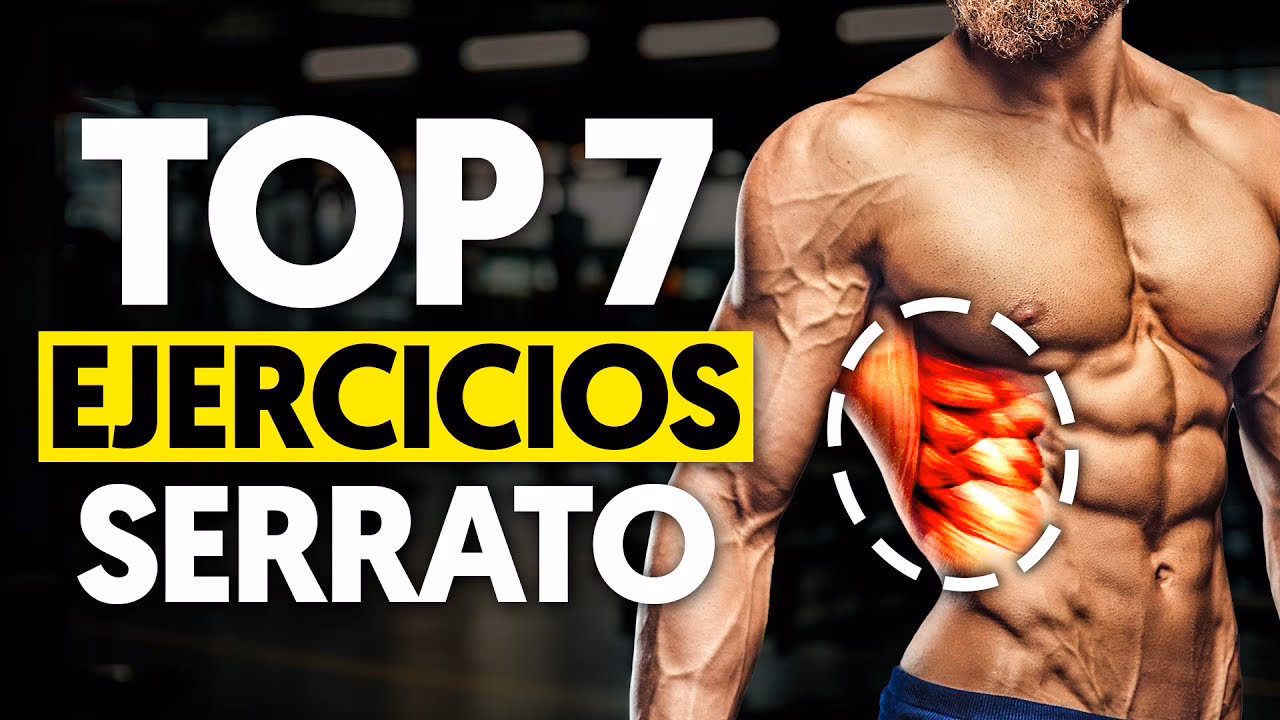 ¿Qué movimientos hace el serrato mayor?