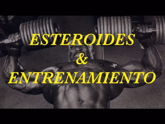 ¿Qué comer en un ciclo de esteroides?