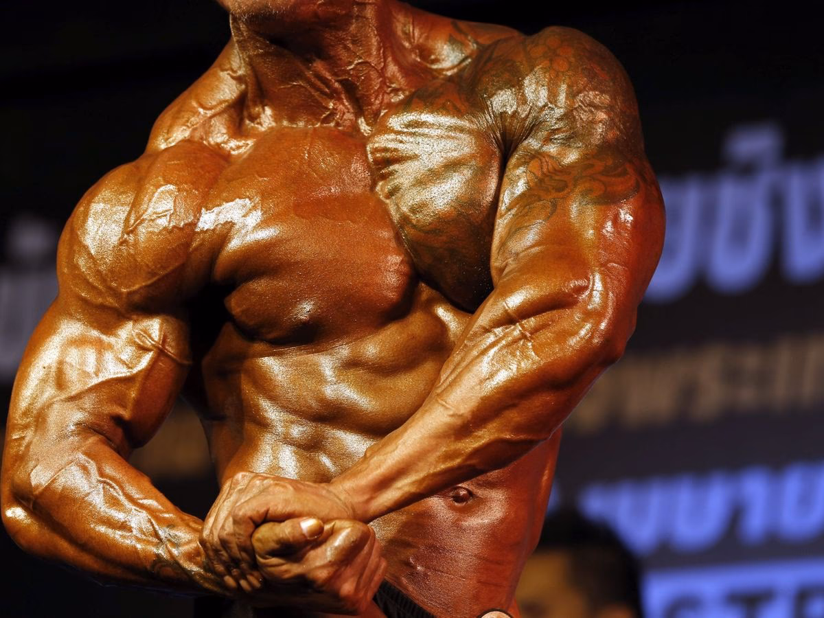 ¿Qué comer en un ciclo de esteroides?