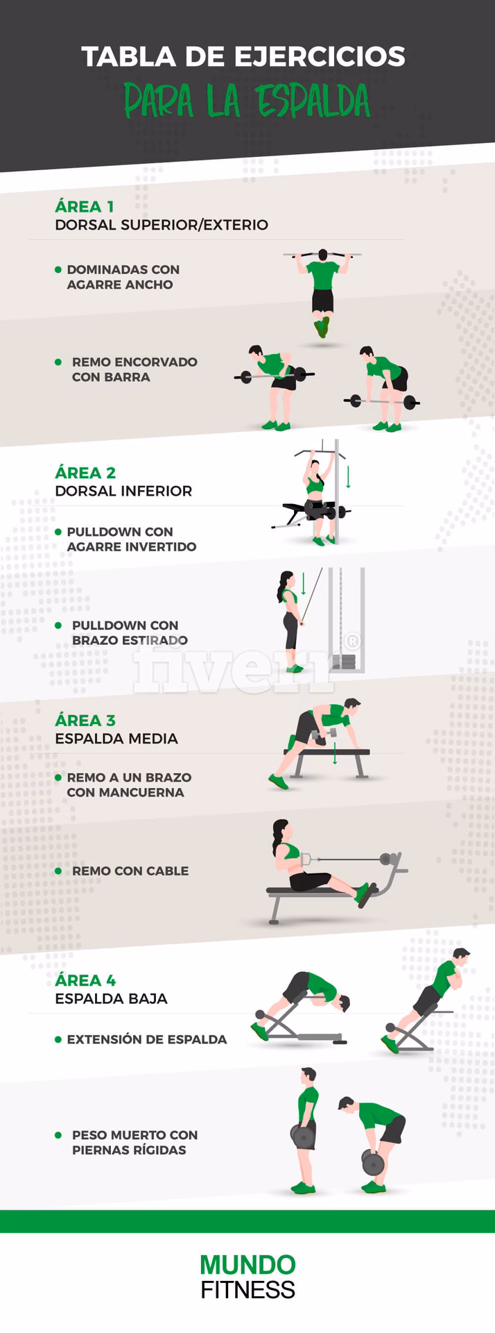 ¿Qué pasa si entrenas espalda baja?