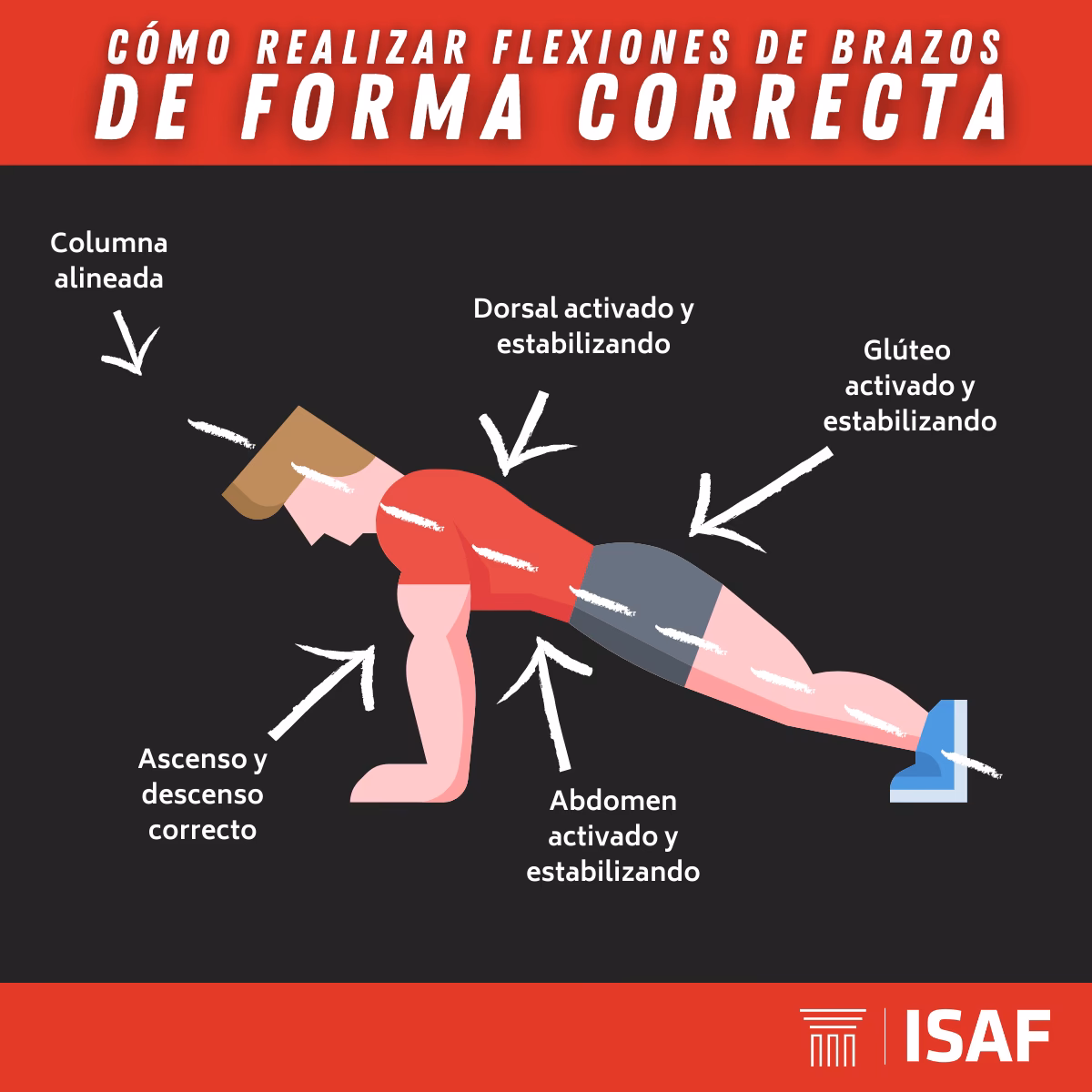 ¿Cuántas flexiones de brazos debo hacer al día?