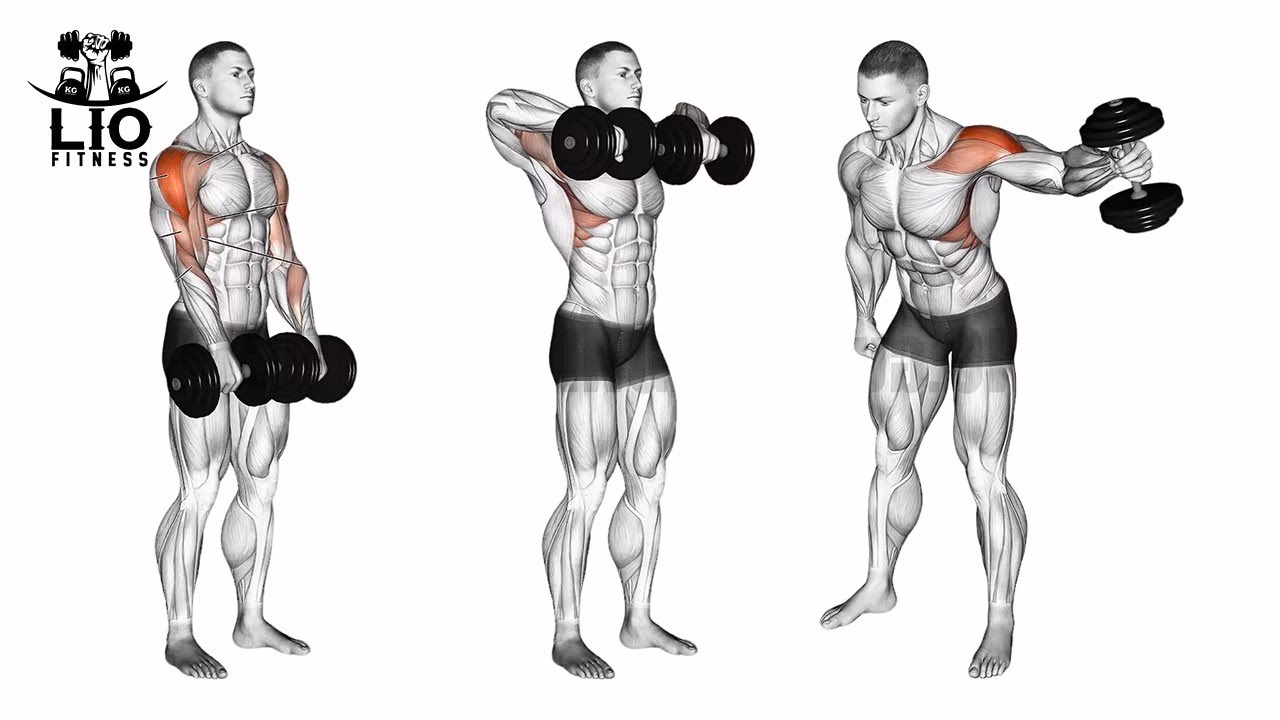 ¿Cuál es el mejor ejercicio para los hombros?