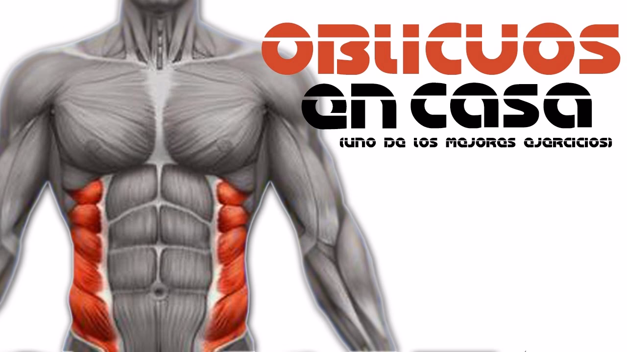 ¿Se pueden entrenar los abdominales laterales?