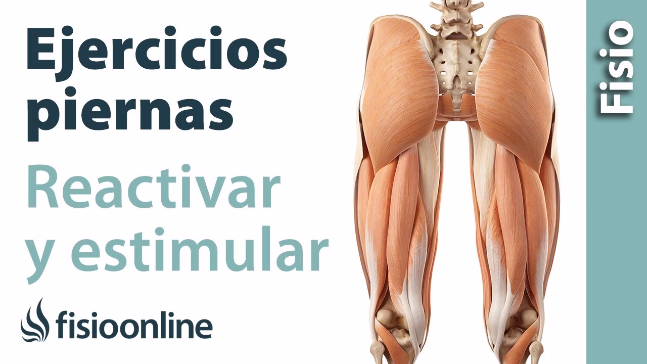 ¿Qué puedo hacer para fortalecer mis tendones?