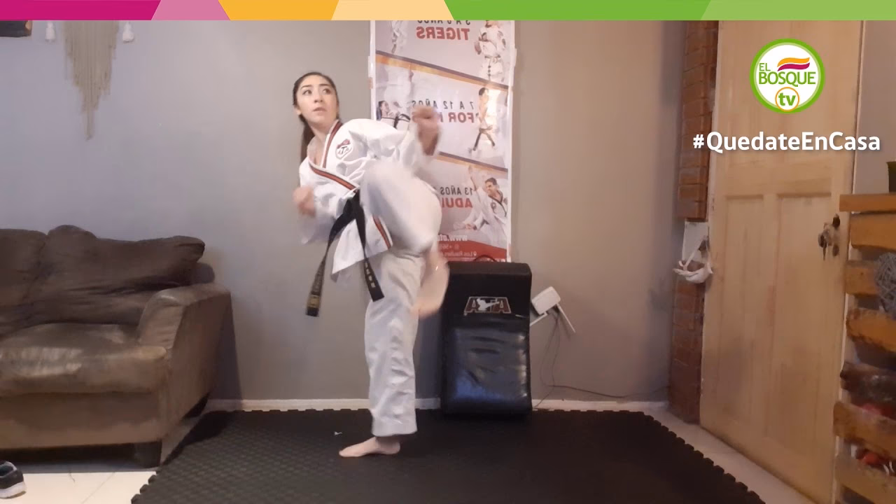 ¿Puedo dominar el taekwondo en casa?