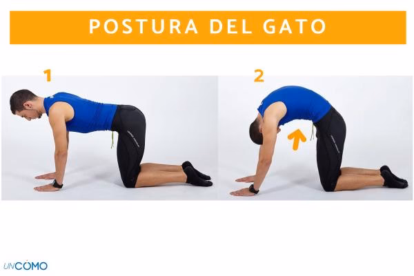 ¿Cómo entrenar trapecios sin pesas?