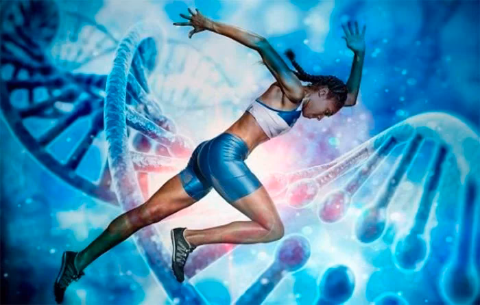 ¿Cómo influye la genética en la capacidad física?