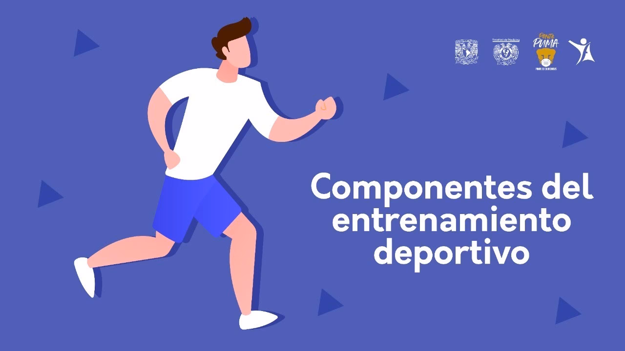 ¿Cuáles son los componentes de un deportista?