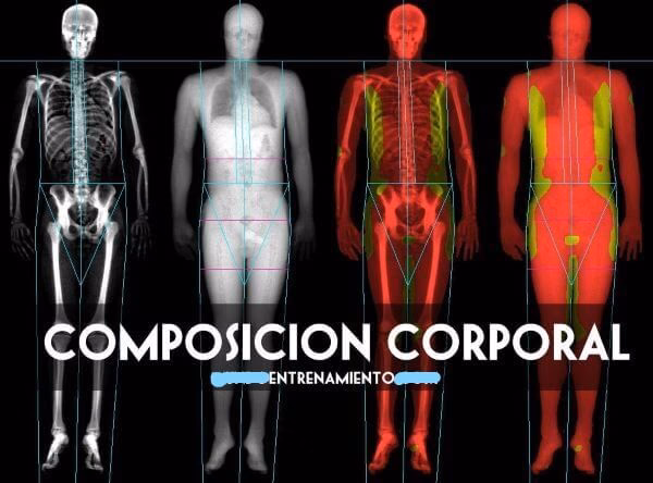 ¿Cuál es la composición corporal en modo atleta?