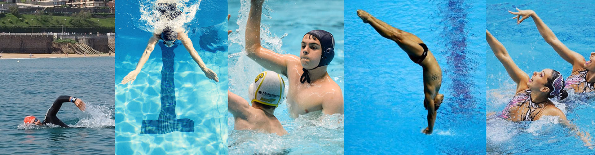 ¿Cómo se llama la Federación de natación Argentina?