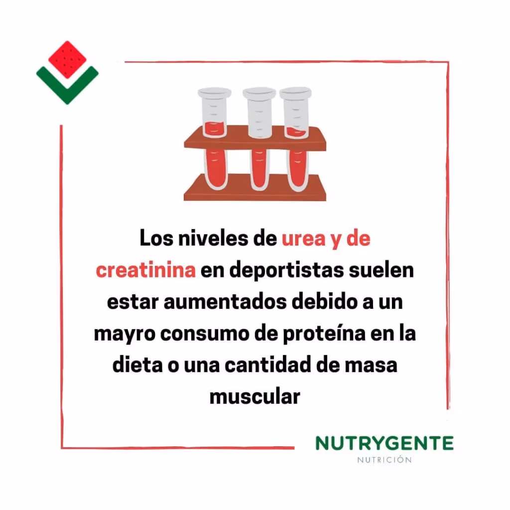 ¿Cómo afecta el ejercicio a la creatinina?