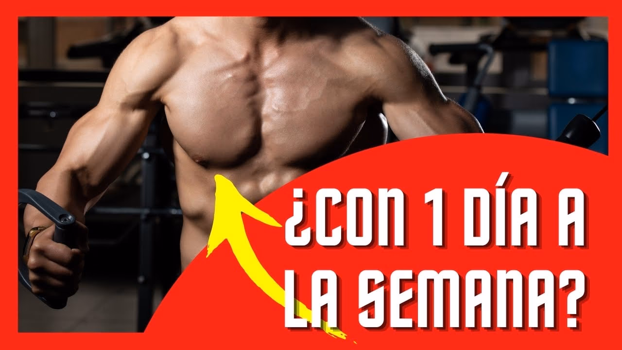 ¿Qué pasa si entreno mi pecho todos los días?