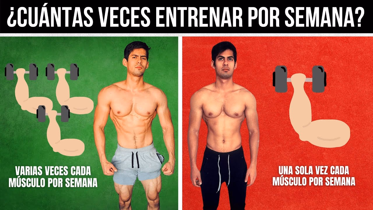 ¿Cuántos días hay que pasar entre entrenamientos de pecho?