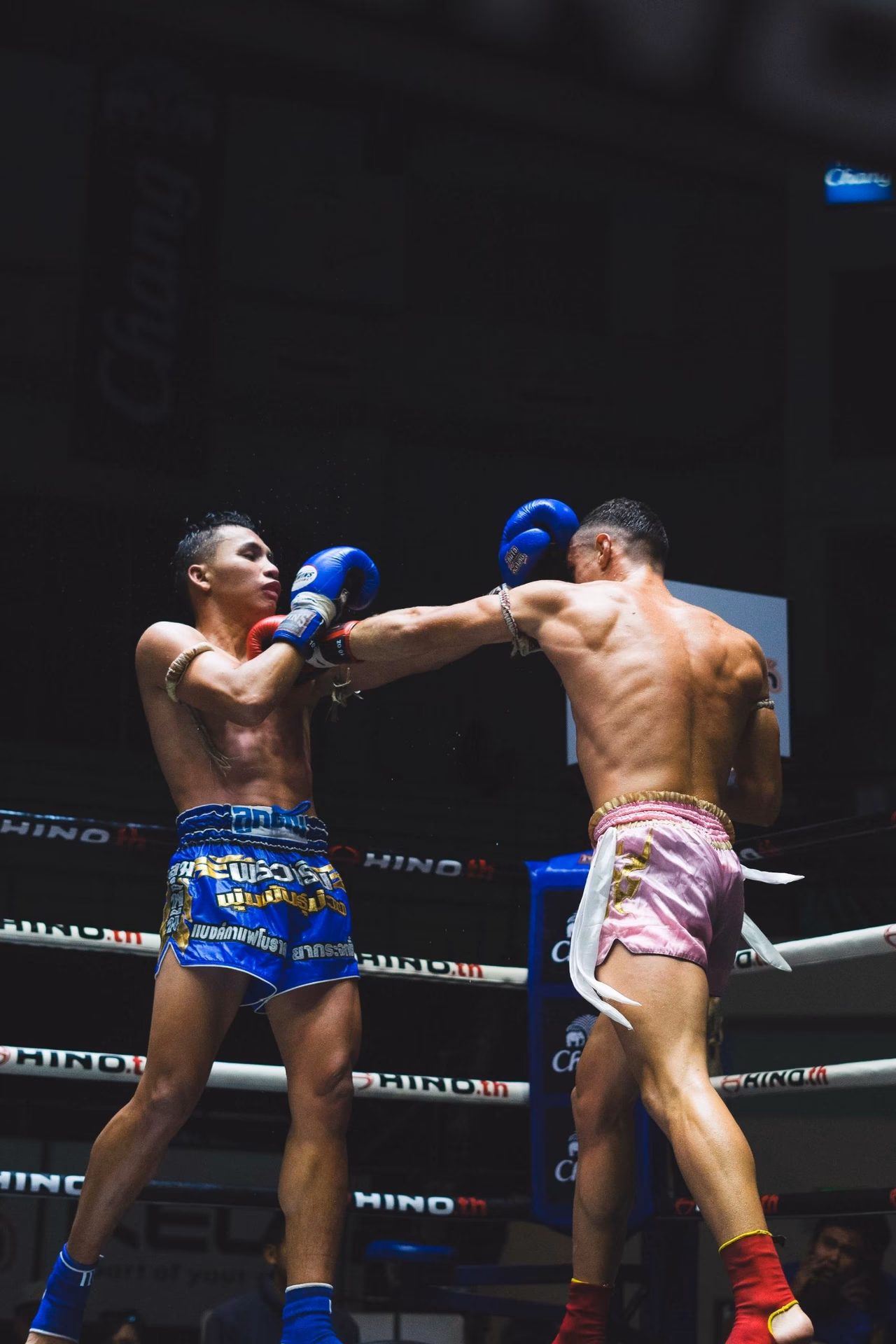 ¿Es mejor entrenar boxeo o ir al gimnasio?