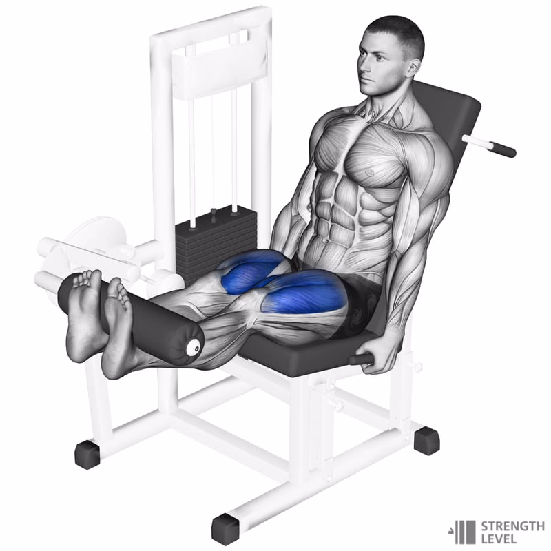 ¿Cuánto peso es normal levantar en la prensa de piernas?