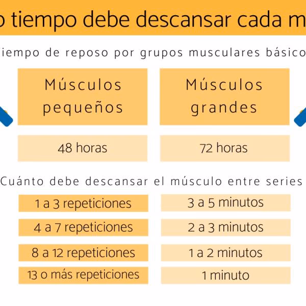 ¿Cuántos días debo entrenar y cuánto descansar?
