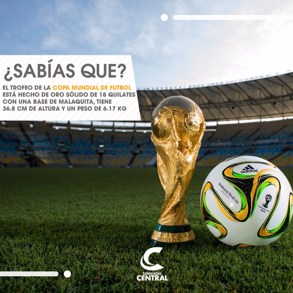 ¿Cuáles son algunos datos curiosos sobre el deporte?