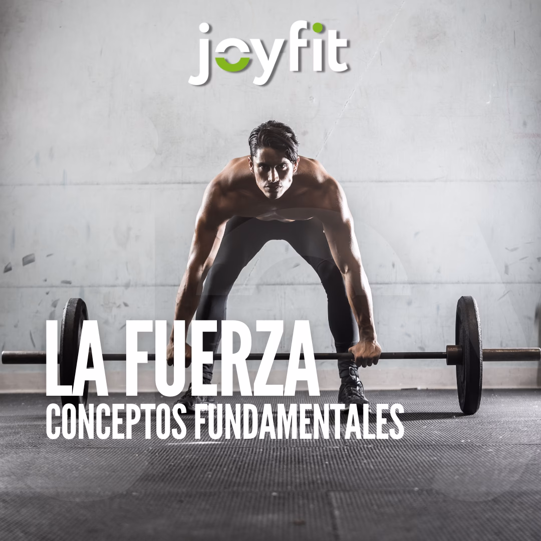 ¿Qué es la fuerza y ponga un ejemplo de actividad.?