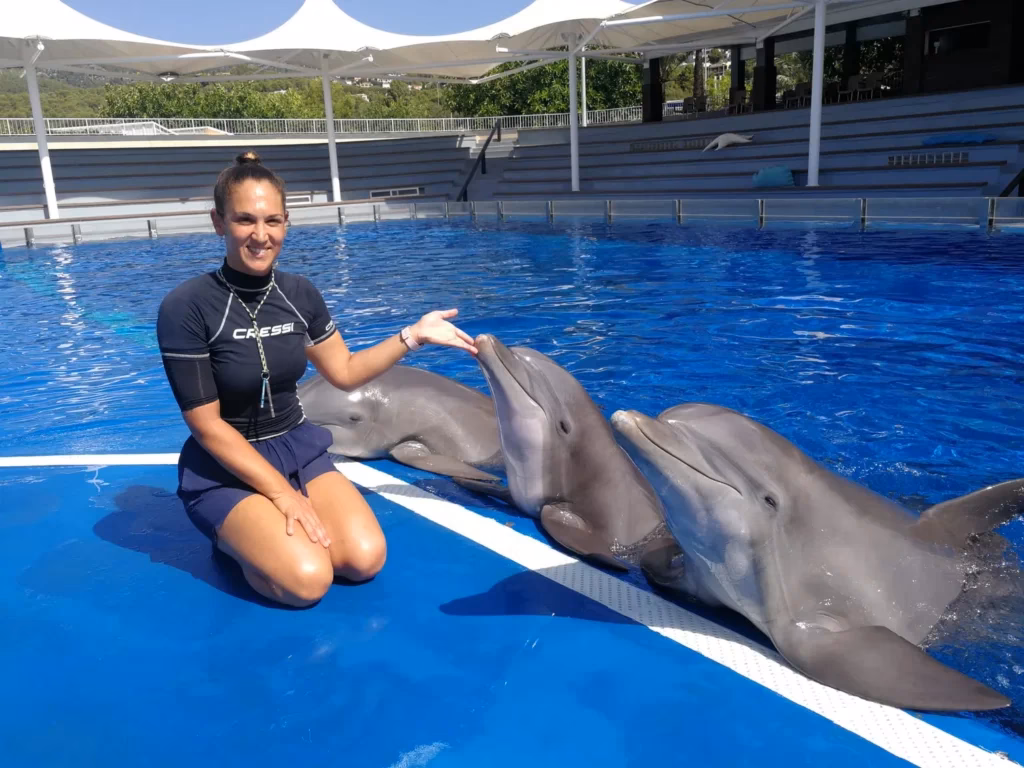 ¿Cuál es la relación entre los delfines y los humanos?